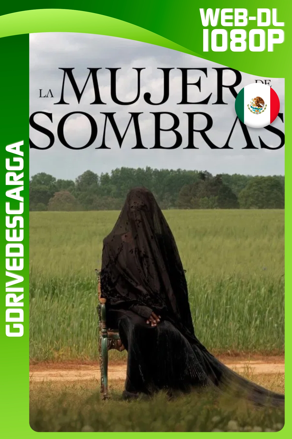 La Mujer de Las Sombras (2025) WEB-DL 1080p Latino-Inglés
