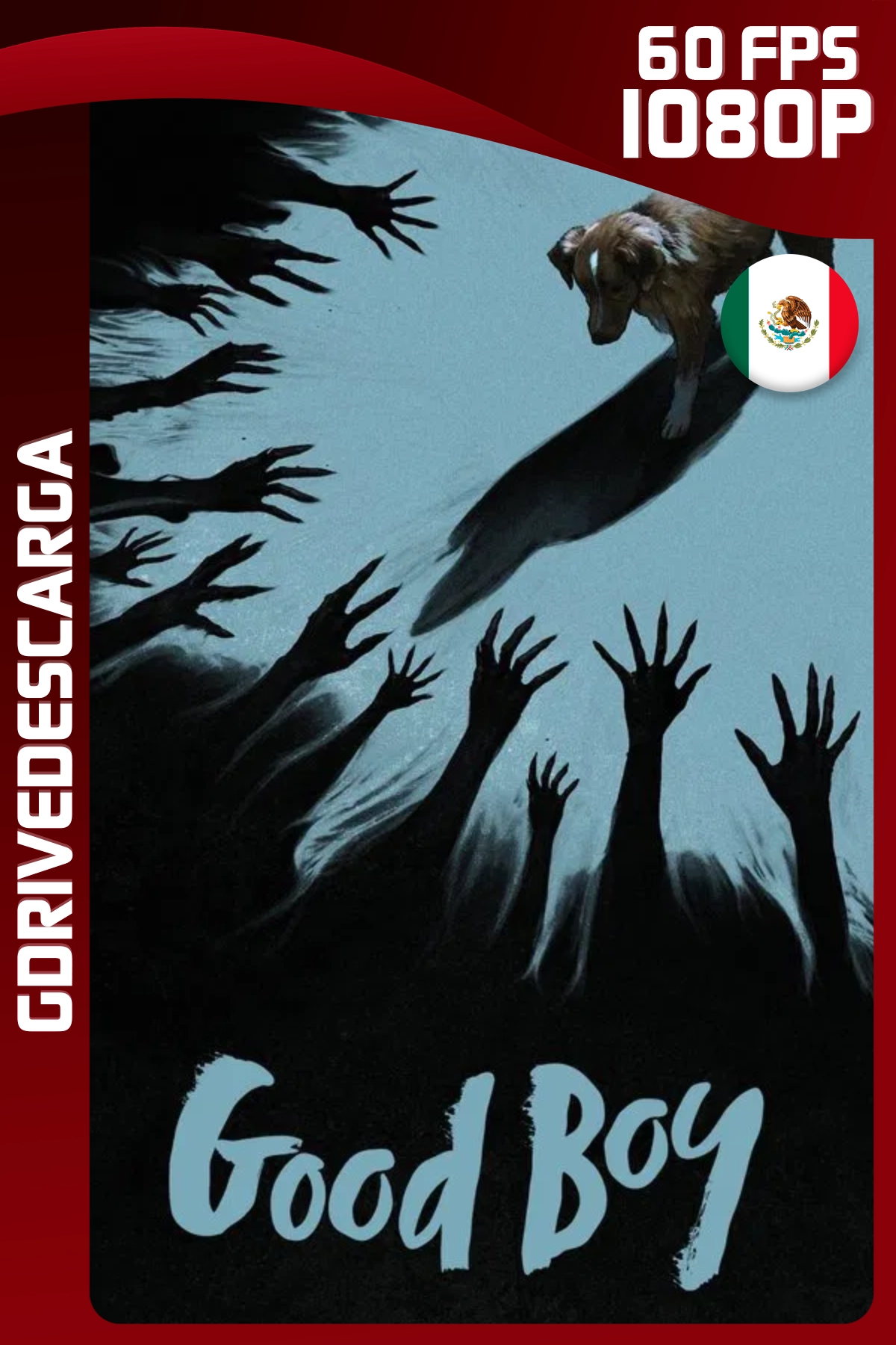 Good Boy (2025) WEB-DL 1080p 60 FPS Latino-Inglés