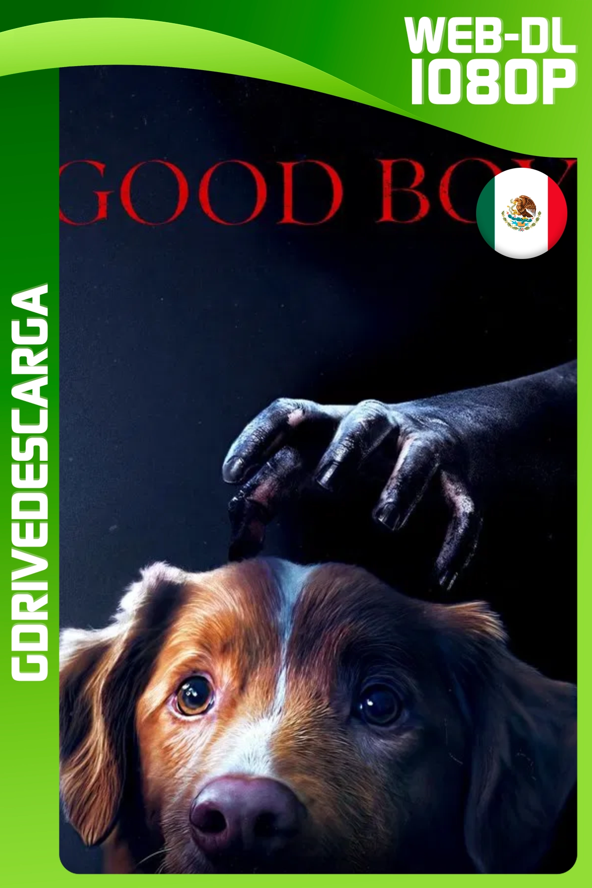 Good Boy (2025) WEB-DL 1080p Latino-Inglés
